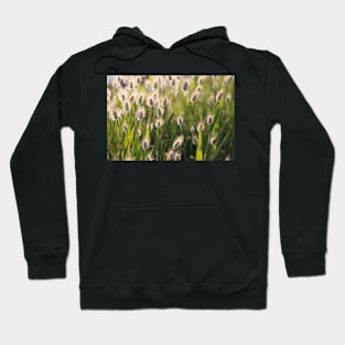 Grain saighe Hoodie